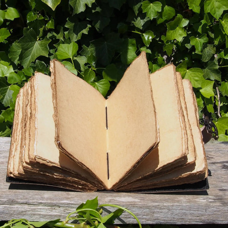 Carnet en cuir - The Lovers